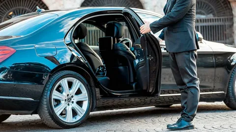 Professional Chauffeur Marseille