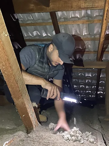 Apartment Inspection