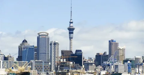 Certified Translation Services Auckland