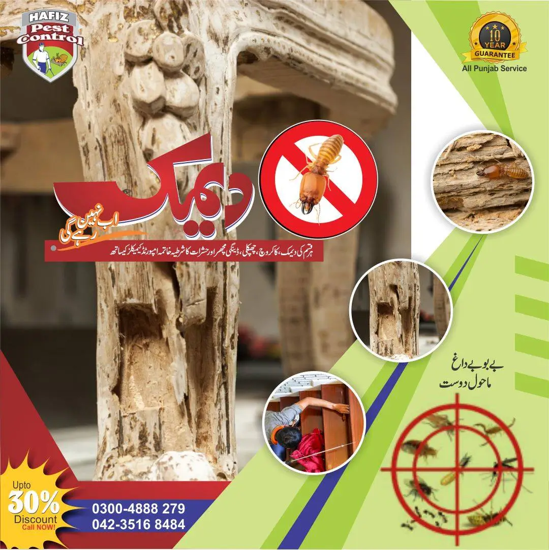 Deemak Control In Lahore