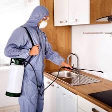 Integrated Pest Management in Lahore