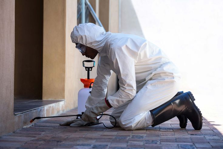 For reliable professional assistance many homeowners trust PestJam to deliver effective and safe pest control solutions.