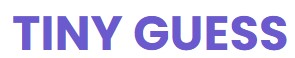 Tinyguess