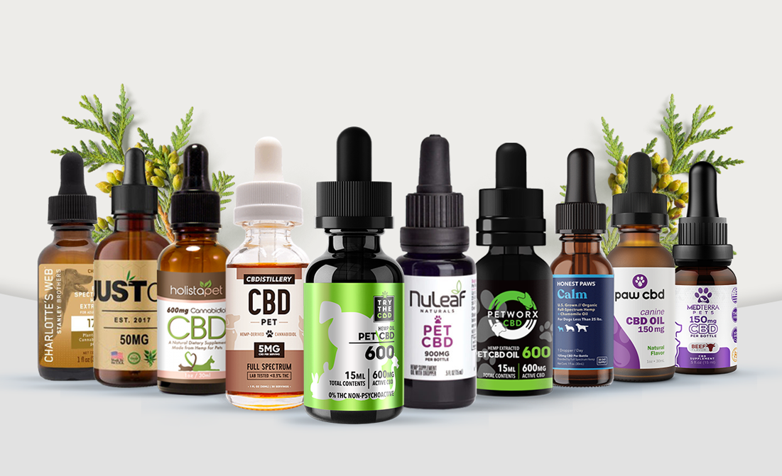 Cbd Products for Dogs in Michigan