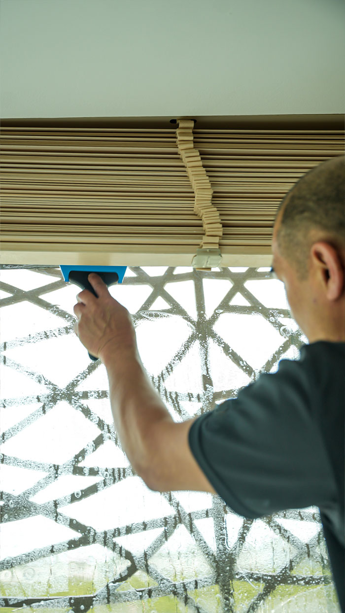 window tint for home