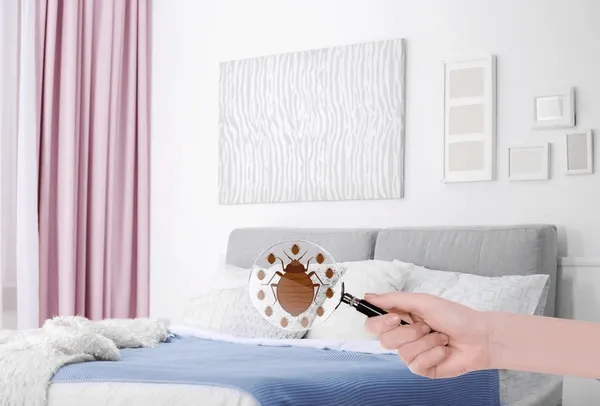 Bed Bugs Control Hamilton