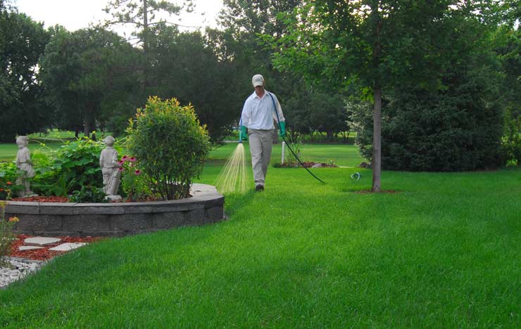 local-lawn-care-and-landscaping
