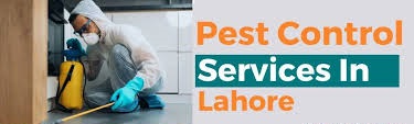Pest Control Services in Lahore