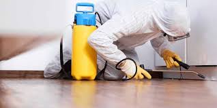 Termite treatment service in Lahore