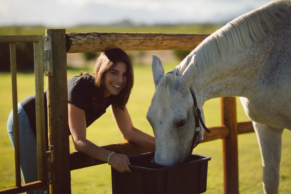 vitamin E supplement for horses