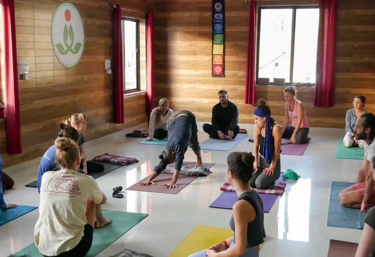 yoga teacher training in india