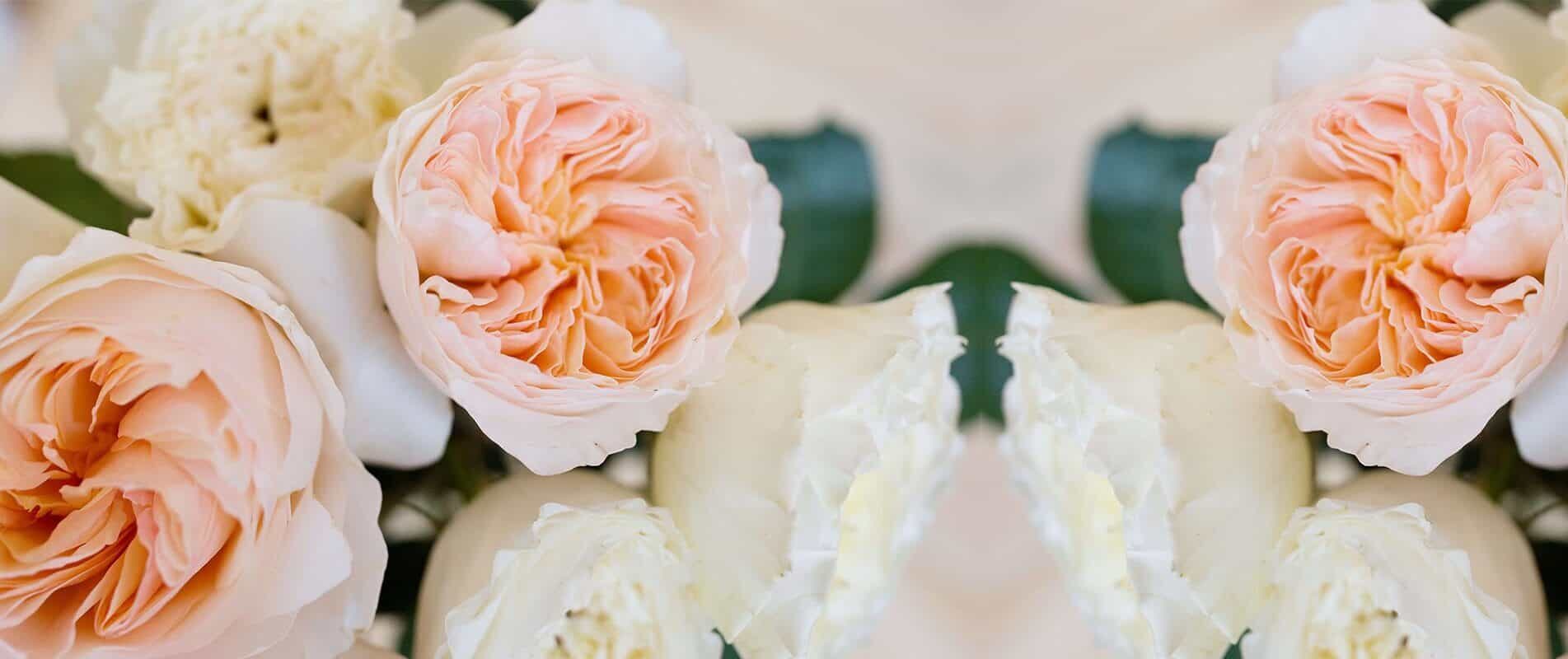 rose delivery Melbourne