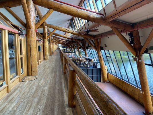 Cedar Street Local Guide: What Makes It Stand Out