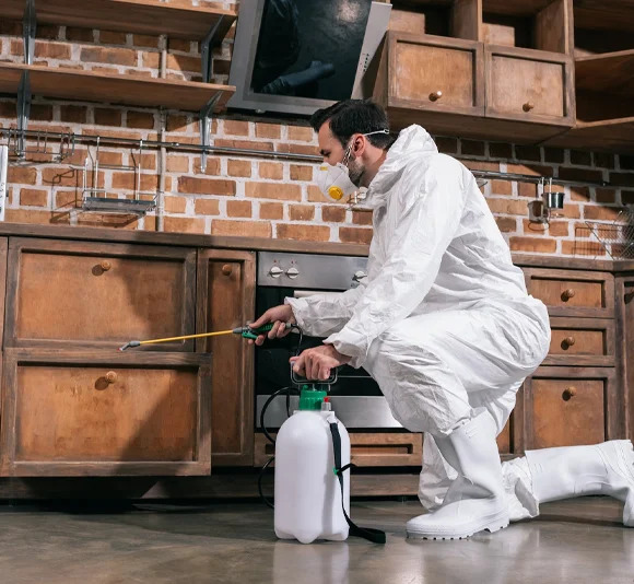 pest control brampton